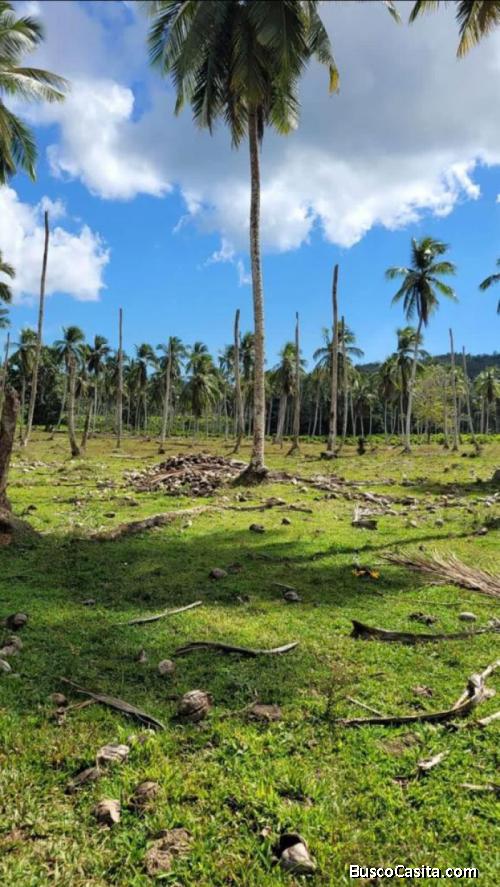 Finca En Venta En Samaná; Idi: 137567