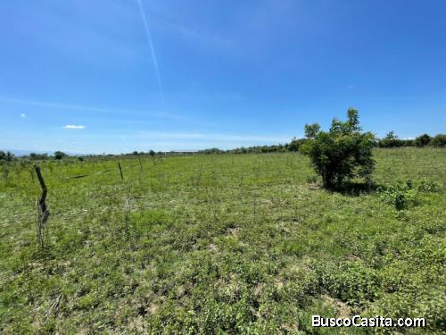  Venta De Solares En La Canela Santiago.; Idi: 137516