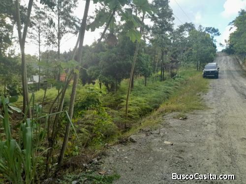 Vendo Terreno En Jarabacoa, Buena Vista ; Idi: 135075