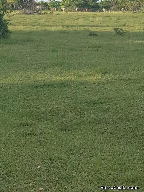 Vendo Terreno En Peravia ; Idi: 121238