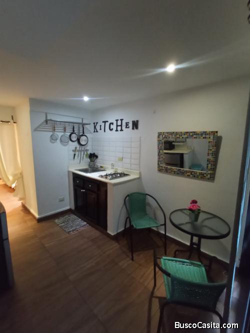 Apartamento Amueblado en Renta en Piantini