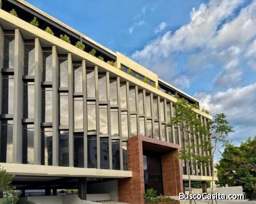 Local En Alquiler Exclusivo Para Oficinas En Los Prados; Idi: 137998