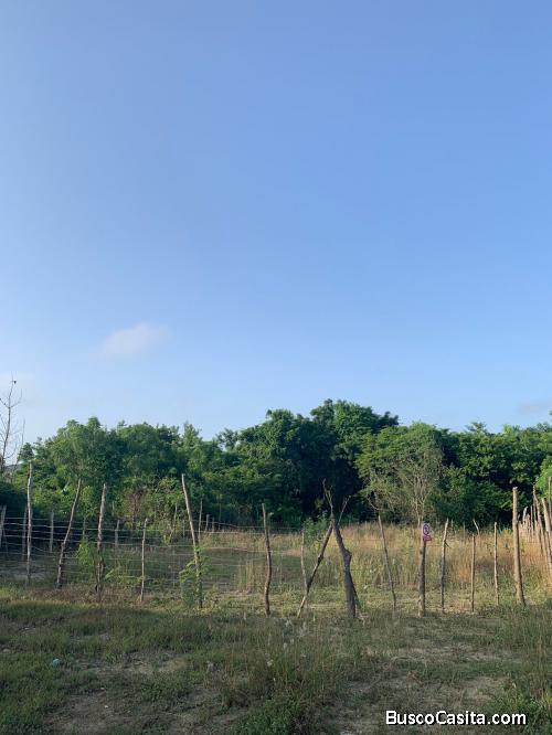 Venta De Solar En Estancia La Herradura, Santiago ; Idi: 138065