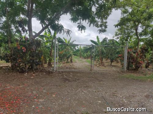 FINCA DE 92 TAREAS DE VENTA EN BONAO
