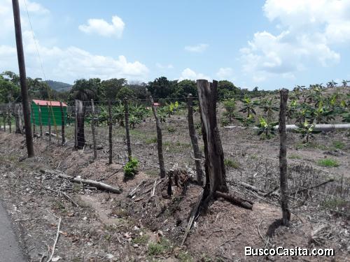FINCA DE 201 TAREAS DE VENTA EN BONAO