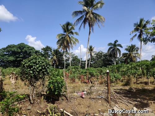 FINCA DE 90 TAREAS DE VENTA EN BONAO