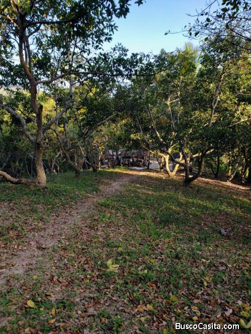 FINCA DE 352 TAREAS CON AGUCATE EN BARAHONA