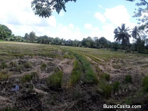 FINCA DE 45 TAREAS DE VENTA EN BONAO