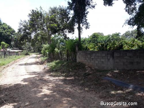 FINCA DE 350 TAREAS DE VENTA EN BONAO