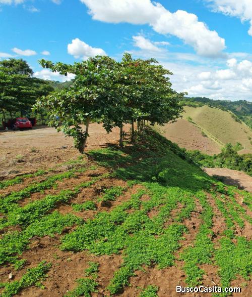 Venta De Solares En Cercado Alto ,jarabacoa; Idi: 138187