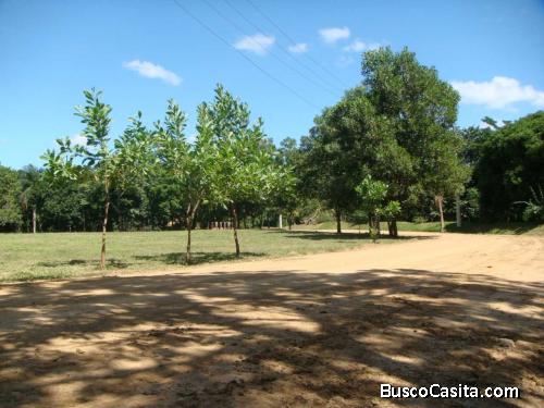 Solar en Venta en Proyecto Ecoturístico en Pedro Brand