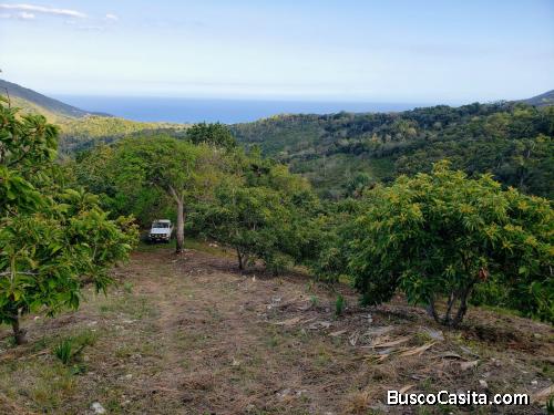FINCA DE 352 TAREAS CON AGUCATE EN BARAHONA