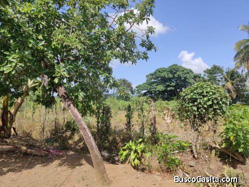 FINCA DE 90 TAREAS DE VENTA EN BONAO