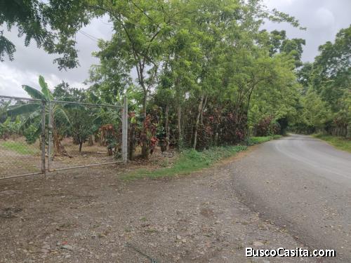 FINCA DE 92 TAREAS DE VENTA EN BONAO