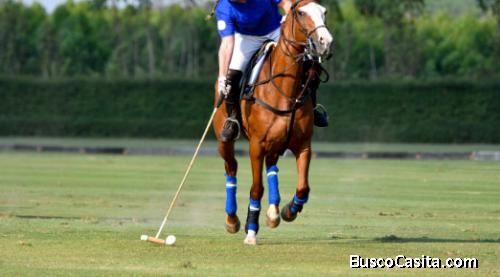 Noval Properties HARBOR BAY PROYECTO  en Segundo Piso 3 Piezas   1 estacionamiento EN CAP CANA 226