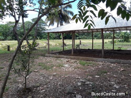 FINCA DE 42 TAREAS DE VENTA EN BONAO