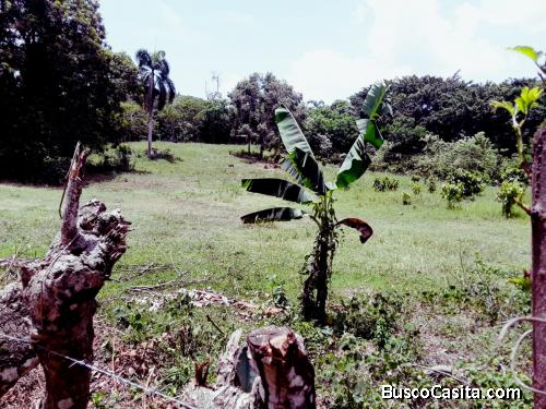 FINCA DE 350 TAREAS DE VENTA EN BONAO