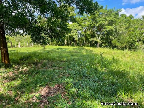  Vendo Finca de 32 Tareas  a 30 de la Ciudad, entre Haras Nacionales y Hacienda Estrella