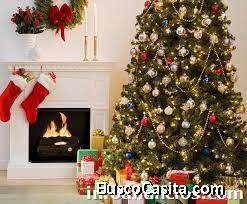 Villas Para Pasar La Navidad En Republica Dominicana!