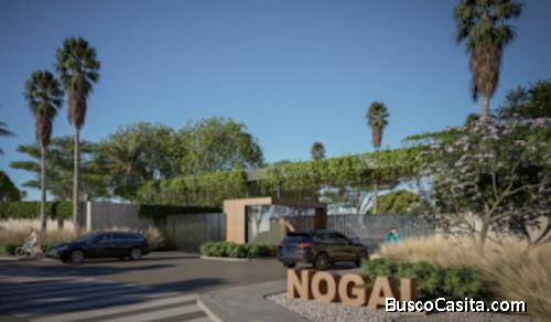 Venta De Solares En Proyecto Residencial En Santiago; Idi: 139256
