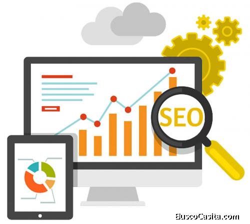 Campaña de Seo local  en Google para Empresas de Limpieza de Alfombras EN Colombia 357