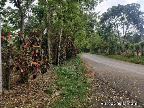 FINCA DE 92 TAREAS DE VENTA EN BONAO