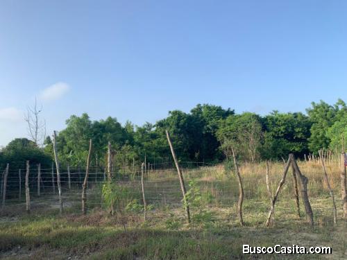 Venta De Solar En Estancia La Herradura, Santiago ; Idi: 138065