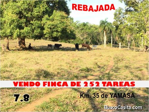 VENDO FINCA DE 252 TAREAS EN EL 35 DE YAMASA, REBAJADA Y CON OFERTA, ALGUNAS SIEMBRAS,   2 RIOS PEQU