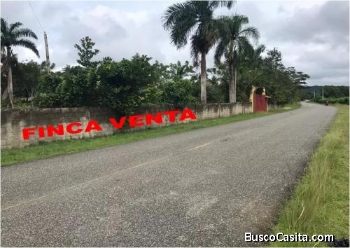 Vendo  Finca HACIENDA 20 Tareas + Sembrada de Naranjas, MONTE PLATA, ACCES0 EN ASFALTO SIN HOYOS
