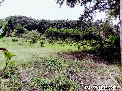 FINCA DE 340 TAREAS DE VENTAS EN BONAO