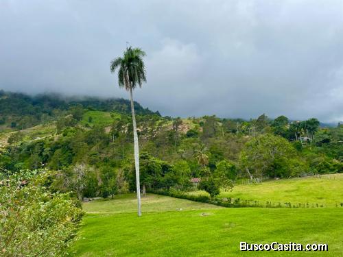 TERRENO DE 33 TAREAS DE VENTA EN JARABACOA