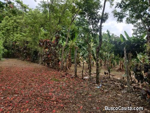 FINCA DE 92 TAREAS DE VENTA EN BONAO