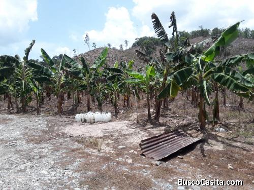 FINCA DE 201 TAREAS DE VENTA EN BONAO