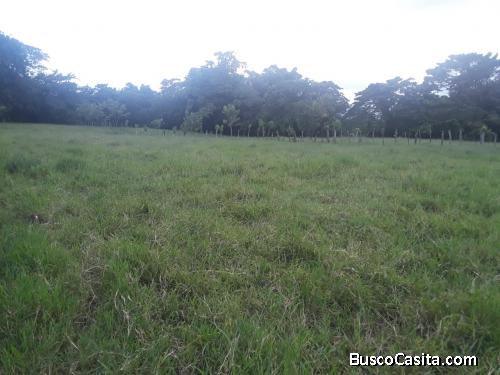 FINCA DE 14 TAREAS DE VENTA EN BONAO