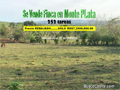 VENDO FINCA DE 252 TAREAS EN EL 35 DE YAMASA, REBAJADA Y CON OFERTA, ALGUNAS SIEMBRAS, 2 RIOS PEQUEÑ