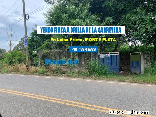 FINCA 40 TAREAS A ORILLA DE CARRETERA EN LUISA PRIETA, MONTE PLATA, CON RIO Y ASFALTO DENTRO