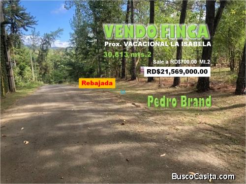 VENDO 30,813 mts.2 DE TERRENO PARA VILLA, REBAJADO, a 700 pesos el Mt.2,  PEDRO BRAND
