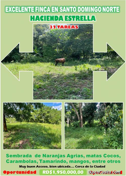 Vendo Finca de 32 Tareas en Hacienda Estrella,  a 30 minutos de la Ciudad