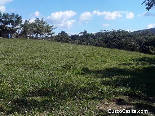 FINCA DE 51 TAREAS DE VENTA EN BONAO