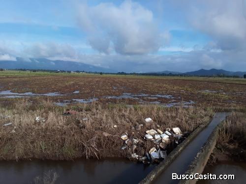 FINCA DE 50 TAREAS DE VENTA EN BONAO