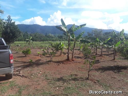 FINCA DE 23 TAREAS DE VENTA EN BONAO