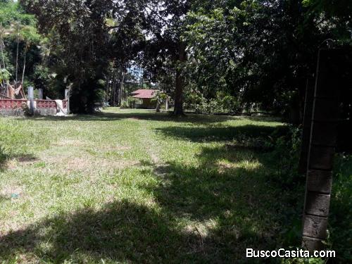 FINCA DE 130 TAREAS DE VENTA EN BONAO