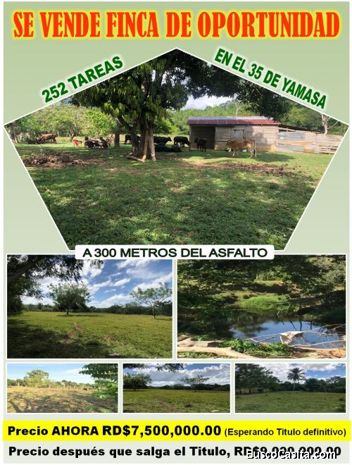 FINCA DE OPORTUNIDAD EN EL 35 DE YAMASA, 252 TAREAS, PRECIO REBAJADO