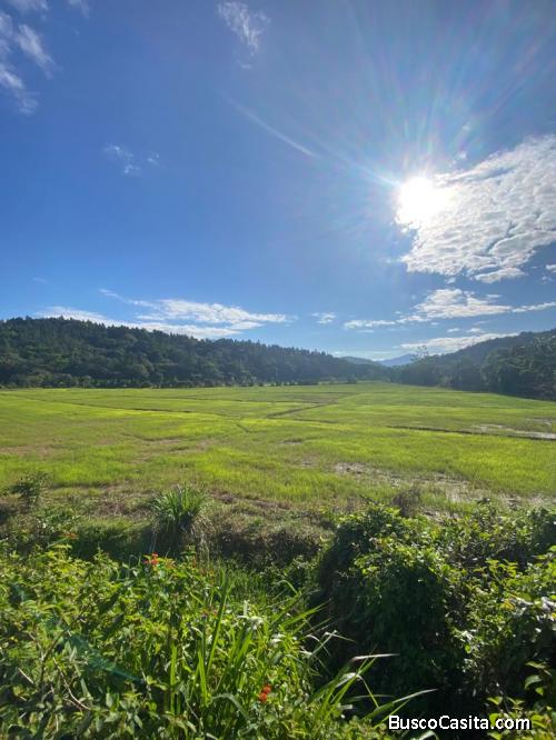 FINCA DE 65 TAREAS DE VENTA EN BONAO