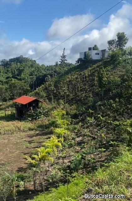 CASA en tope de montaña loma de los jabieles,BAYAGUANA