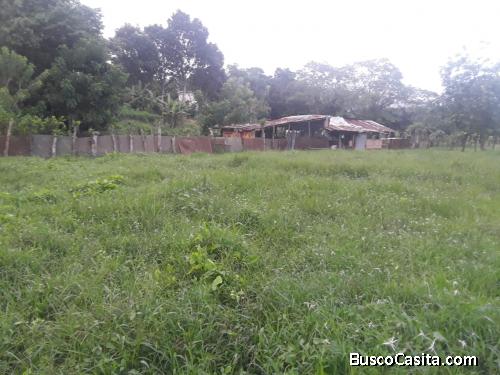 FINCA DE 14 TAREAS DE VENTA EN BONAO