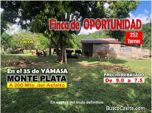 FINCA DE OPORTUNIDAD EN EL 35 DE YAMASA, 252 TAREAS, PRECIO REBAJADO