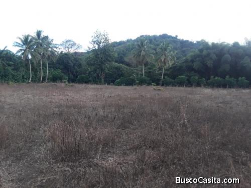 FINCA DE 14 TAREAS DE VENTA EN BONAO