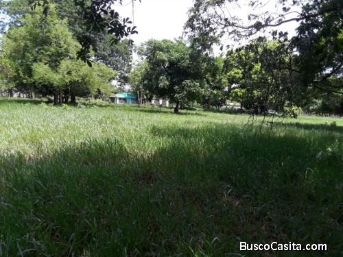 FINCA DE 125 TAREAS DE VENTA EN BONAO