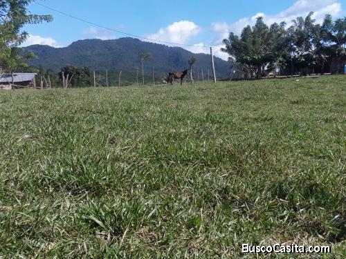 FINCA DE 51 TAREAS DE VENTA EN BONAO